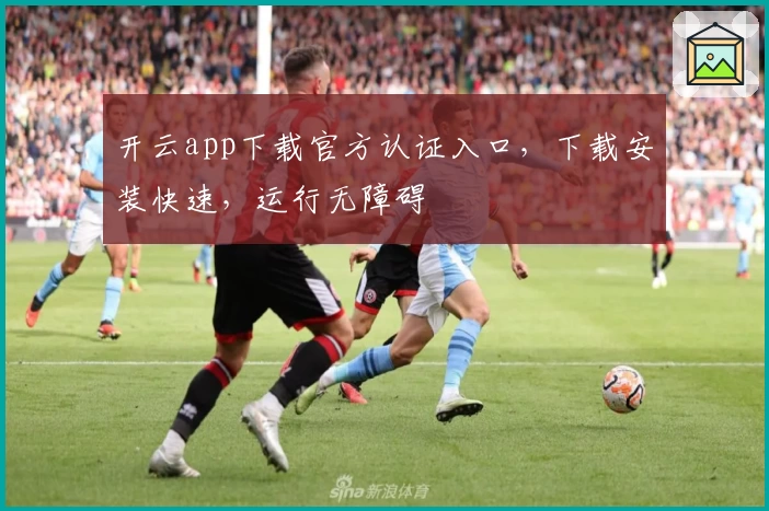 开云app下载官方认证入口,下载安装快速,运行无障碍