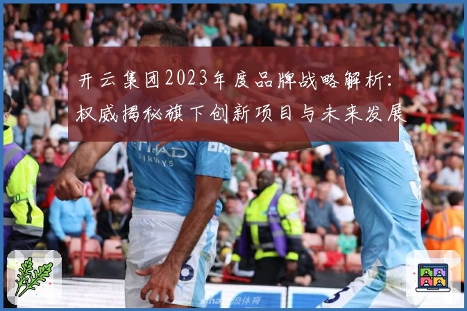 开云集团2023年度品牌战略解析：权威揭秘旗下创新项目与未来发展路线图