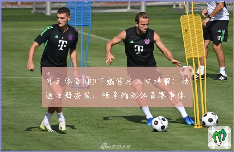 开云体育app下载官方入口详解：快速注册安装，畅享精彩体育赛事体验