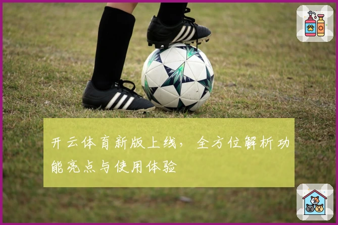 开云体育新版上线，全方位解析功能亮点与使用体验